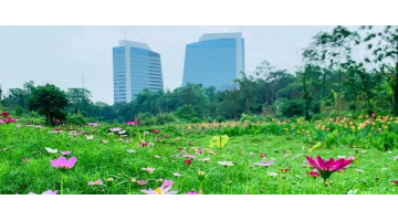����һ�� | �������б�����س����ںӺ�·��ά������Ŀ